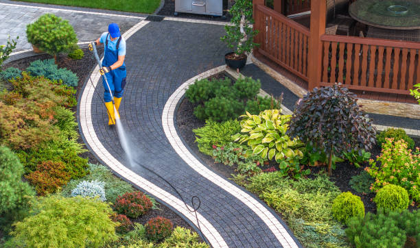 Best Roof Pressure Washing  in Sparta, GA